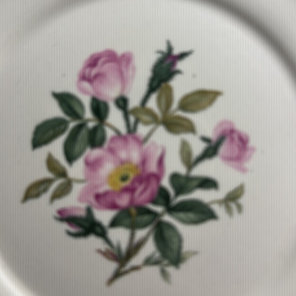 Floral Patterned Cream Plates - Picture 2 of 7